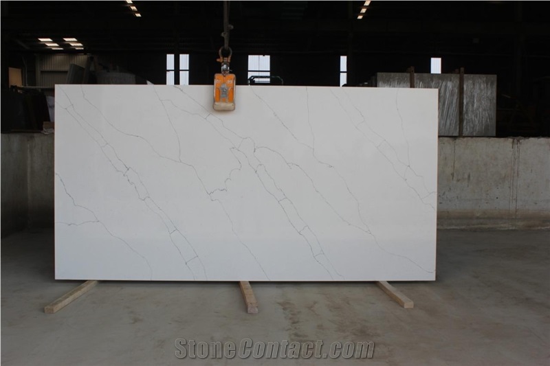Calcutta White Quartz Series