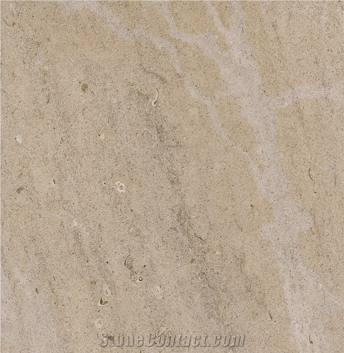 Moca Beige New Limestone from Egypt