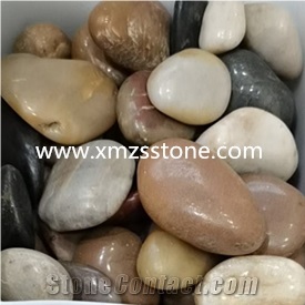 Mixed Colors Pebble Stone Garden Cobble