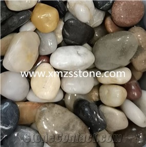 Mixed Colors Pebble Stone Garden Cobble