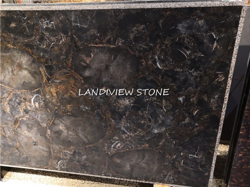 Black Petrified Wood Gemstone Tiles Slabs