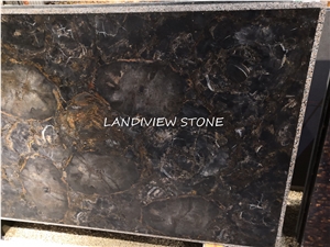 Black Petrified Wood Gemstone Tiles Slabs