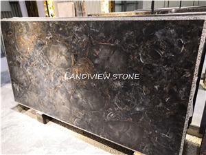 Black Petrified Wood Gemstone Tiles Slabs