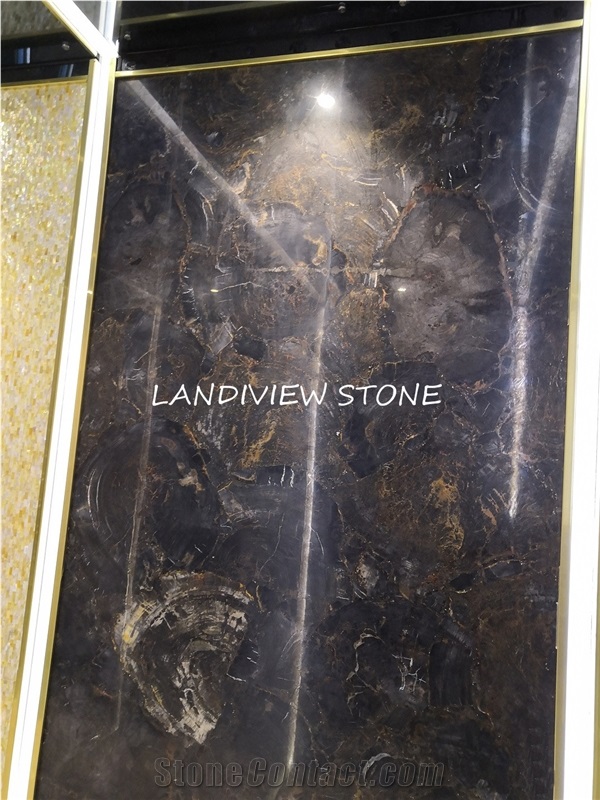 Black Petrified Wood Gemstone Tiles Slabs