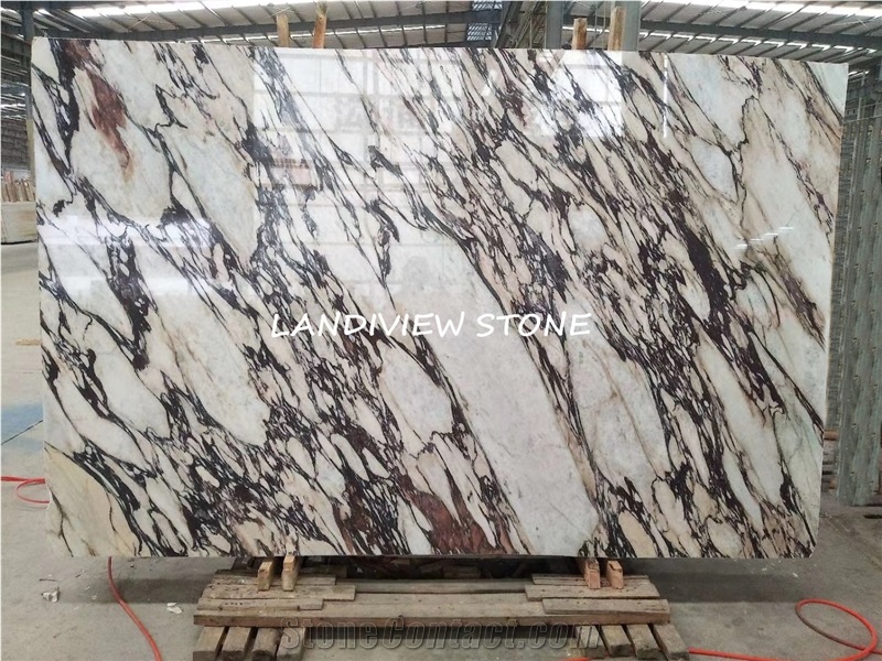 Marmi Calacatta Viola Calacatta Viola Marmo Tiles
