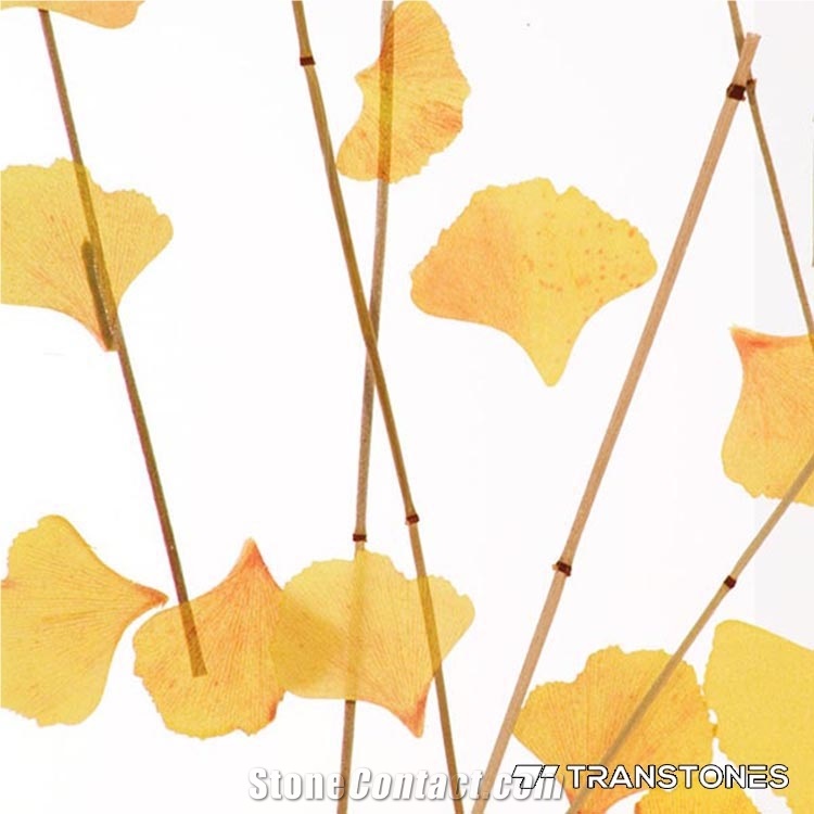 Resin Acrylic Sheet Suppliers Wall Feature Stone