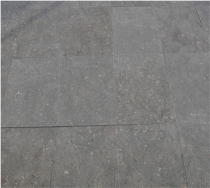 Coquillage, Green and Gray Limestone Honed Tiles