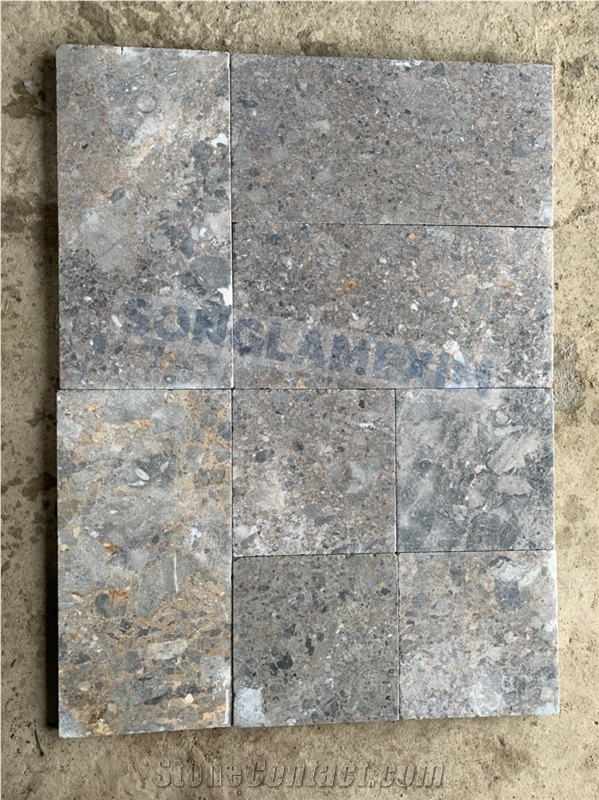 Frog Skin Marble Pavers Sanded Antiqued Tumbled