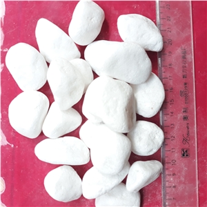 Snow White Pebbles for Garden and Pool Landscape