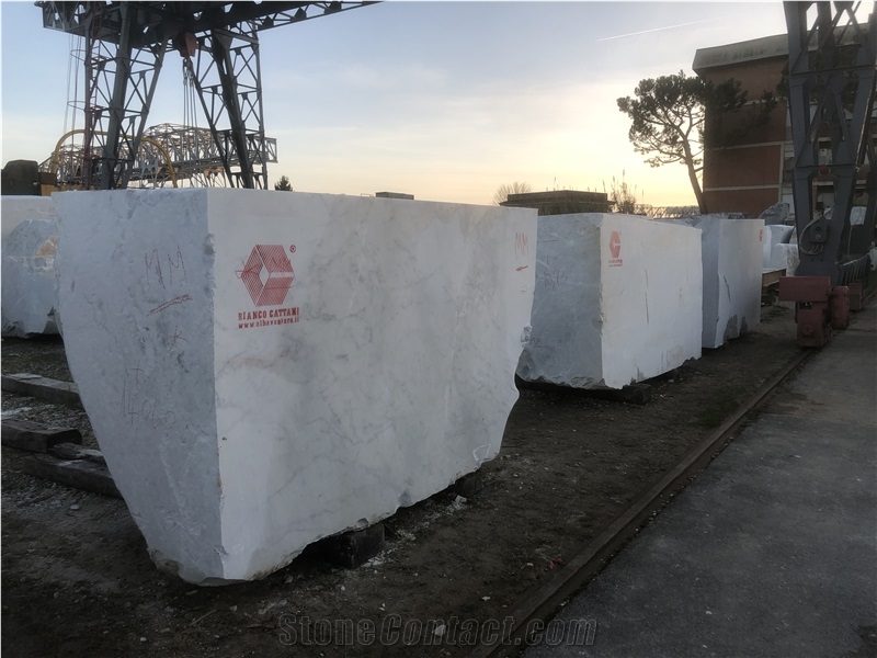 Carrara White Marble Bianco Cattani Marble Blocks