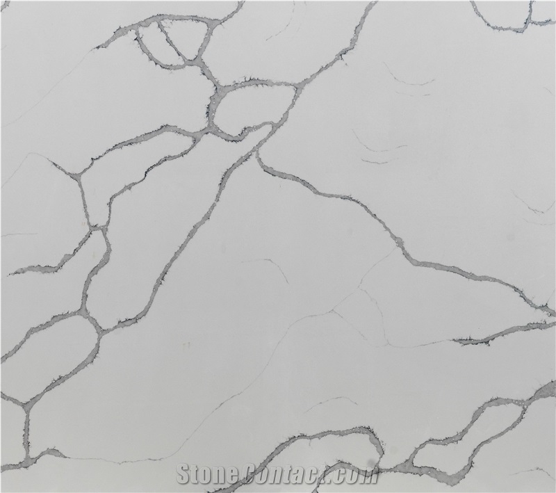 Calacatta Trento Quartz Slabs