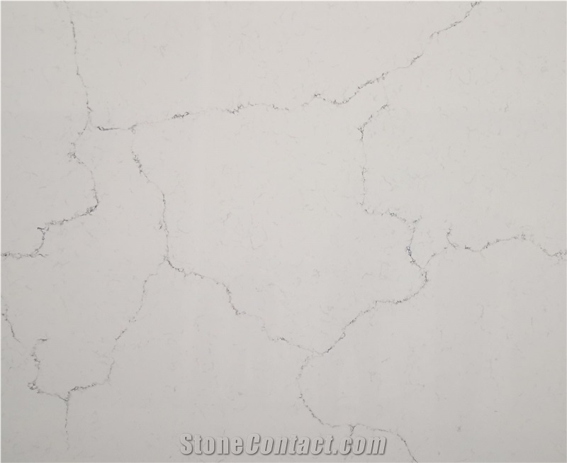 Ivory Calacatta Blanca Quartz Slabs