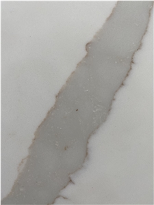 Parchment White Calacatta Quartz Slabs