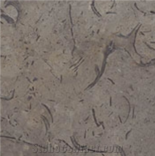 Elegant Brown Marble Slabs & Tiles