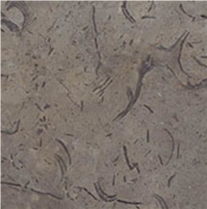 Elegant Brown Marble Slabs & Tiles