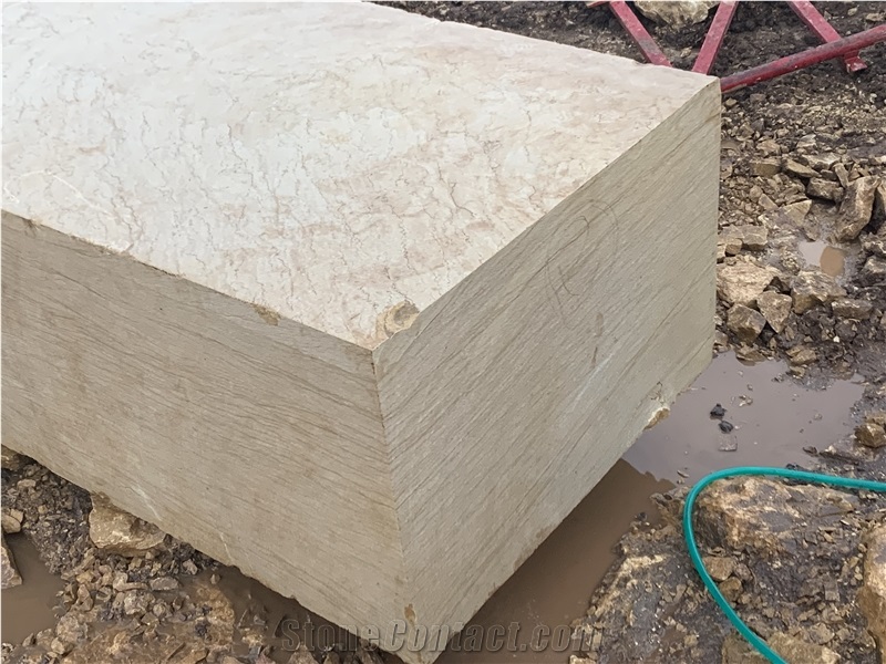 Majestic Gold Coralline Limestone Blocks