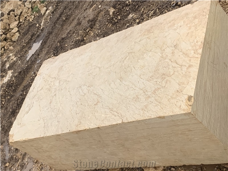 Majestic Gold Coralline Limestone Blocks