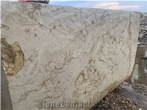 Royal Gold Coralline Limestone Blocks