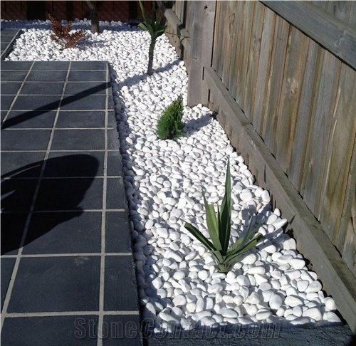 Natural Pebble Stone for Decoration Garden