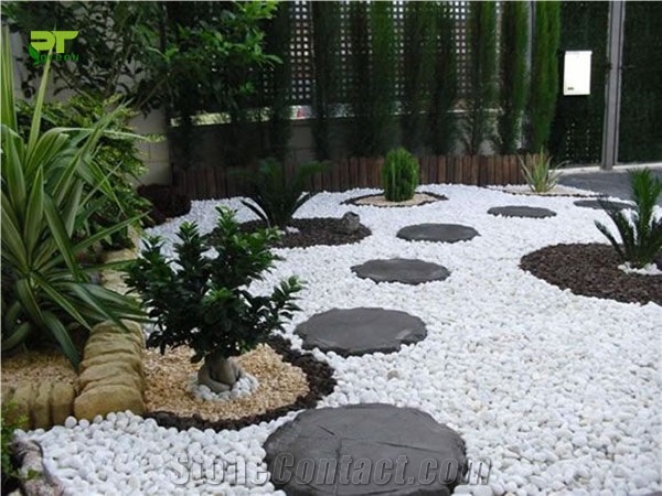 Natural Pebble Stone for Decoration Garden