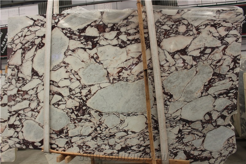 Calacatta Viola Marble Slabs Breccia Medicea