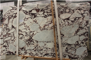 Calacatta Viola Marble Slabs Breccia Medicea