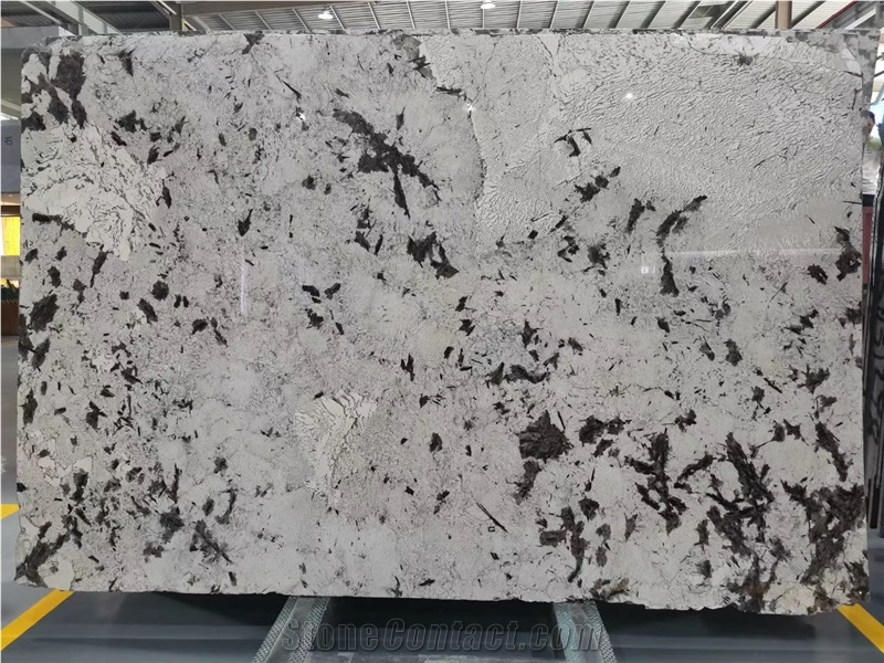 Arctic Fox Marble Slab