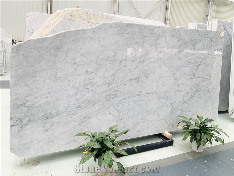 Bianco Carrara Marble for Wall Cladding