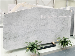 Bianco Carrara Marble for Wall Cladding
