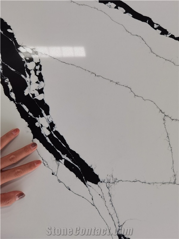 White And Black Calacatta Quartz Polished Slabs