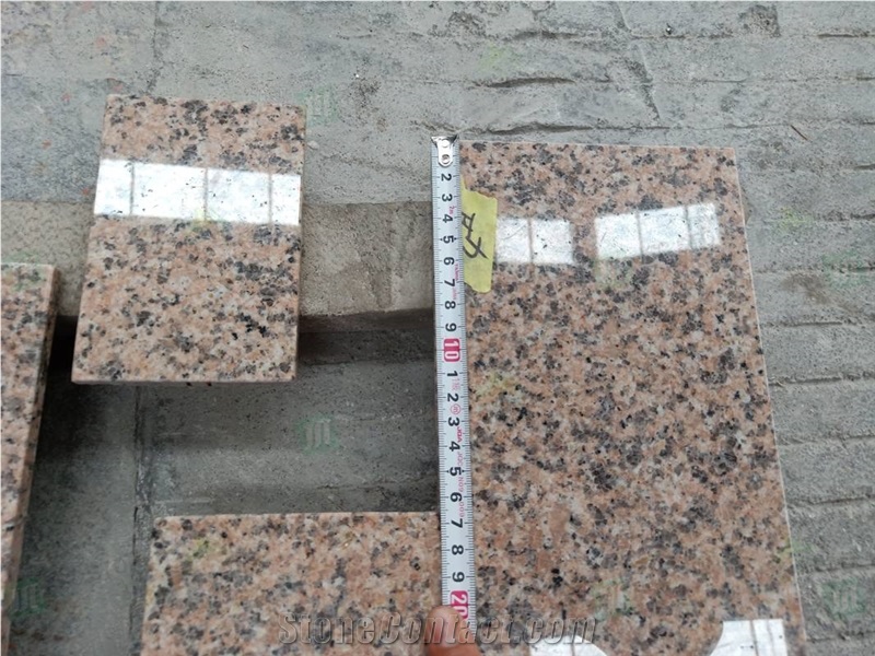 G367 Cherry Red Granite Floor Tile Wall Panel