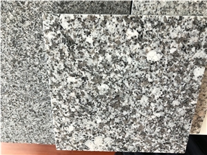 China Padang White G623 New Granite Slabs & Tiles