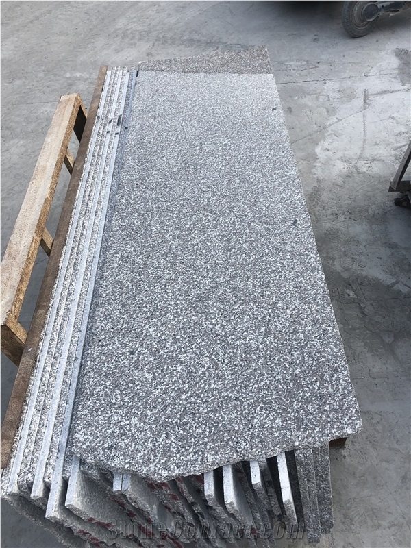 New G664 with Cheap Prices