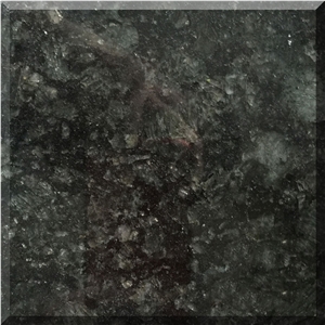 Brazil Verde Butterfly Green Stone Granite