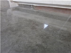 Milly Grey Fossils Slabs & Tiles
