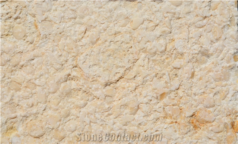 Samaha Light Marble Tiles & Slabs