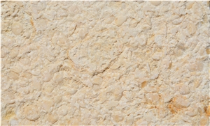 Samaha Light Marble Tiles & Slabs