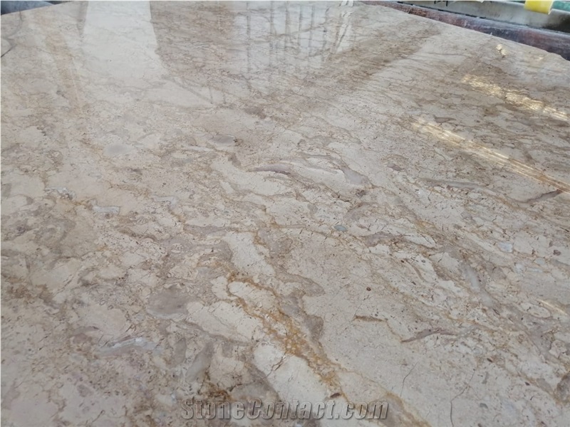 Breccia Sinai Limestone Slabs