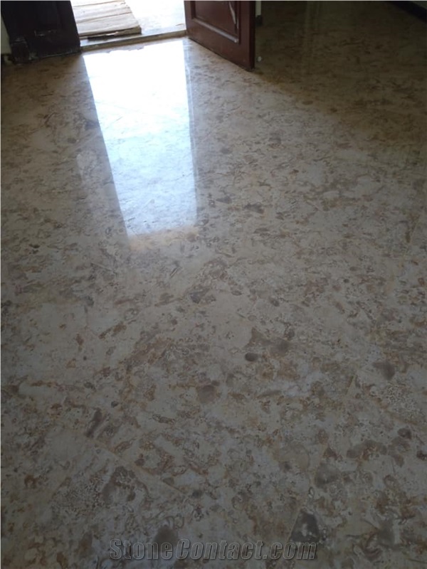 Breccia Sinai Limestone Slabs