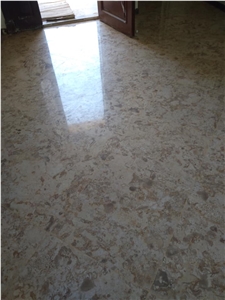 Breccia Sinai Limestone Slabs