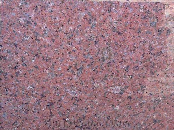 Red Sphinx Granite Slabs, Red Sphynx Granite Slabs & Tiles