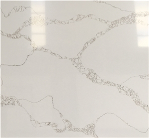 Cream Calacatta Venice Quartz Slabs