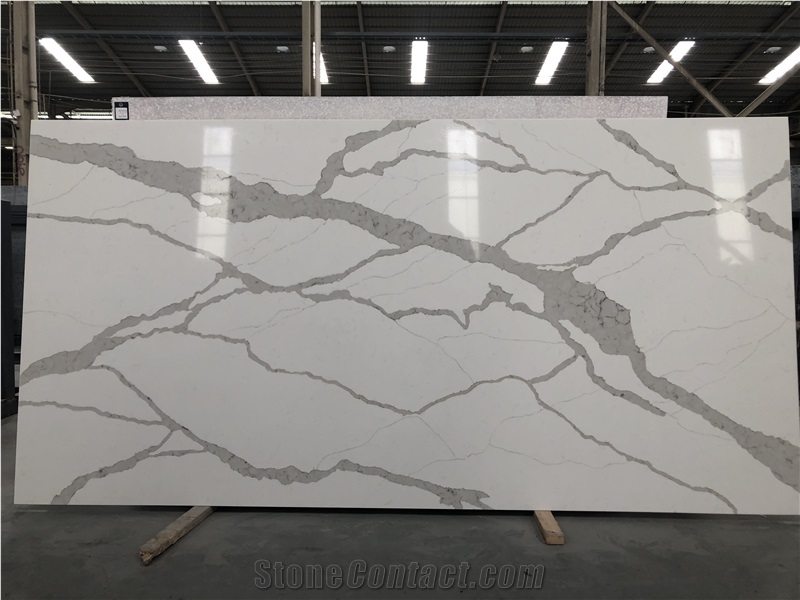 New Ivory Calacatta Quartz Slabs