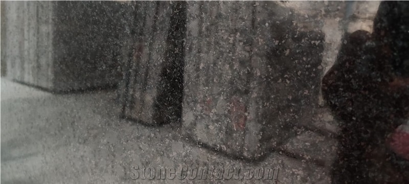 Black Granite Slabs, Mp Black Granite