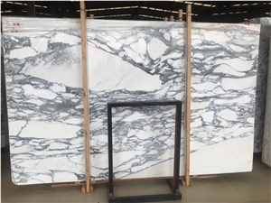 Arabescato White Marble Slab for Floor Tiles