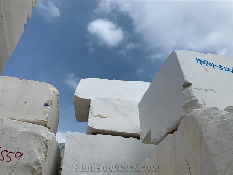 Danae Ariston Marble Slab for Flooring Tiles