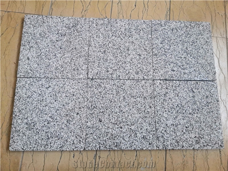 Light Grey Granite for Kitchen Countertop