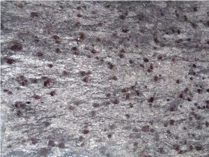 Granite Tiles, India Granite Slabs