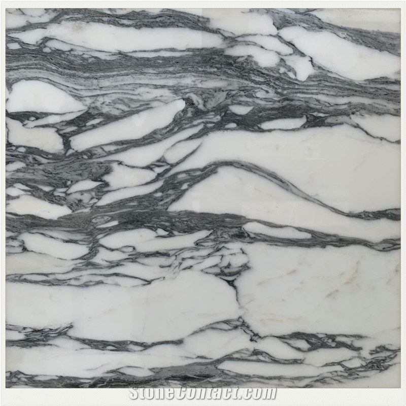 Arabescato White Marble Square Meter Price Slab