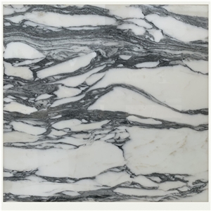 Arabescato White Marble Square Meter Price Slab
